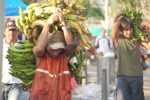 plantains Leticia Colombia Amazona, the Amazon