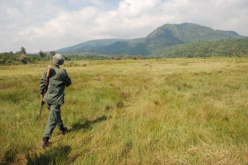 A ranger leads a walking safari in Arusha National Park.