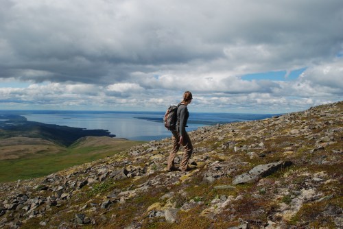 Hiker on Dumpling Mountain, Katmai National Park.